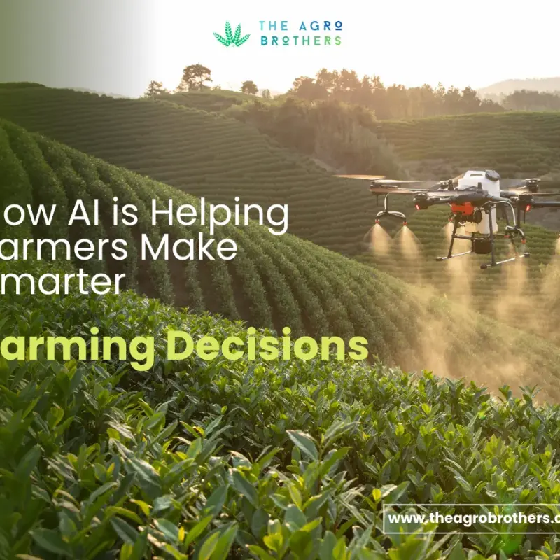How AI is Helping Farmers Make Smarter Farming Decisions