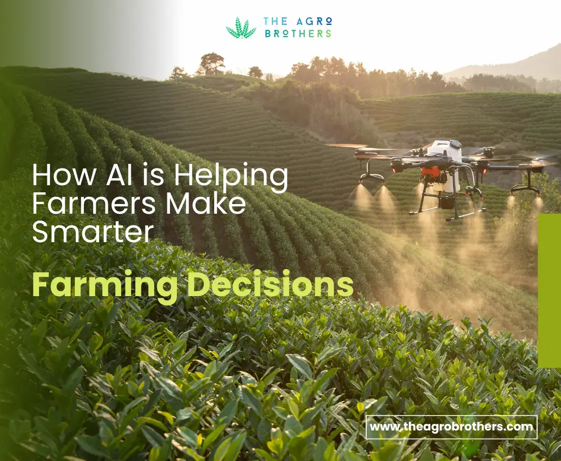 How AI is Helping Farmers Make Smarter Farming Decisions