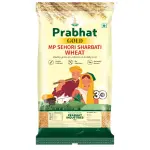 MP Sharbati Wheat – Baran Premium Gold Grade | Soft Grain High Quality