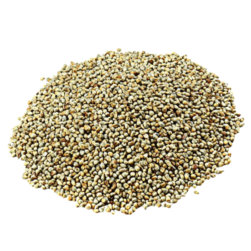 Pearl Millet (Bajra) – Rajasthan Premium Food Grade | Clean & Natural Grain